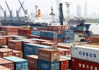 VN farmers improve export chain