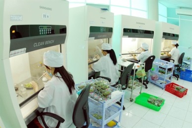 Vietnam’s farm firms seek high-tech