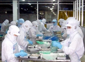 Vietnam cephalopod exports in QII to slip 