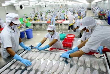 Most exported seafood from Vietnam is destined to US