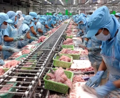 Vietnam pangasius exports totaled US$1.62 billion