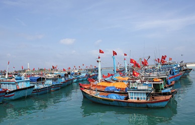 Illegal seafood will not be purchased