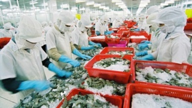 QII/2019: Vietnam’s seafood exports to increase by 8%