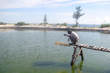 Quang Ninh district (Quang Binh): Promote capture fisheries and aquaculture