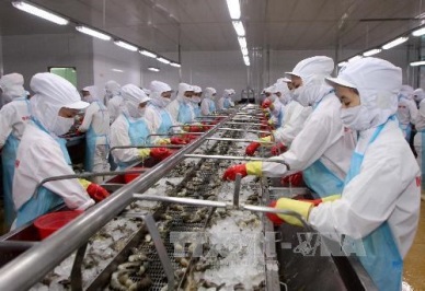 Ca Mau targets 1.2 billion USD from exports