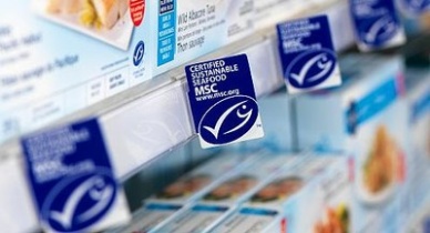 MSC opens final round of consultations on changes/updates to its standards