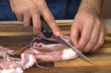South Korea – The potential buyer of Vietnam’s fresh/live/frozen octopus