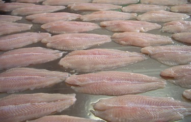 “Whitefish wars” driving Vietnam’s pangasius away from EU, US