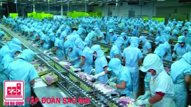 IDI: Sales reached over VND4,000 billion in 2016