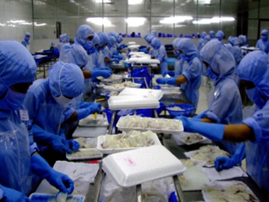 Vietnam cephalopod exports went on the rise