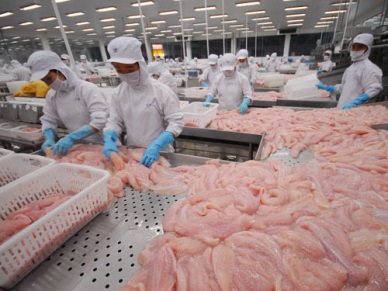 Vietnam pangasius sales to China saw strong growth