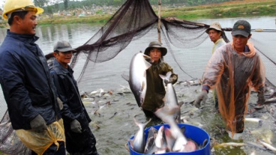 2013 - a booming year for Vietnamese exports to US