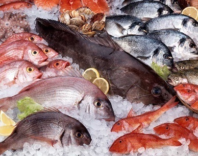 Australian seafood businesses explore VN market