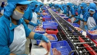 Profit of MEKONGFISH CO in H1 exceeded 6% of the year plan