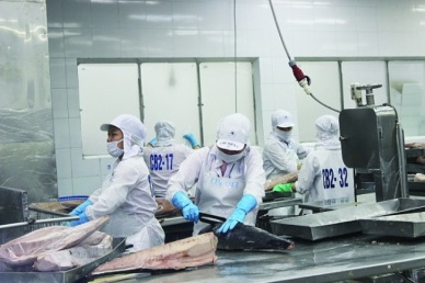 Egypt: A bright spot in Vietnam tuna exports in the first six months 