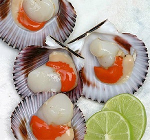 Circular on customs procedures applied to exported and imported goods