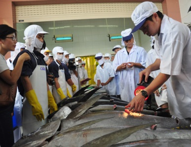 Improving the quality and value of tuna exports
