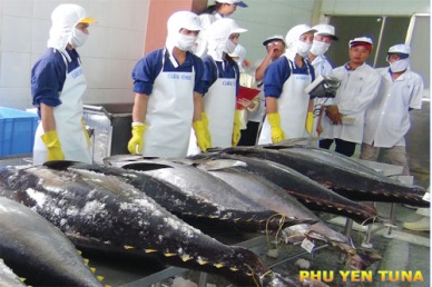 Developing Phu Yen Tuna brand