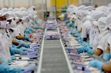 US imposes stricter regulations on catfish