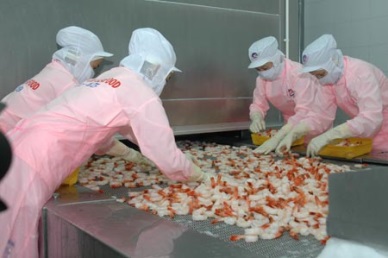 Tien Giang: Seafood production reaches 190,951 MT