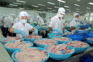 Brazil becomes increasingly important to Vietnam seafood exports   
