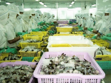 Fish production reached 4,000 thousand MT 