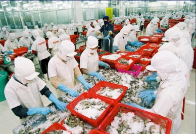 Vietnam seafood enterprises seeking partners in Australia