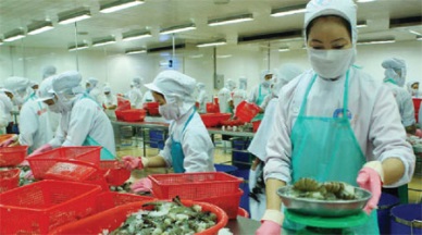 Increasing exports to the Czech Republic