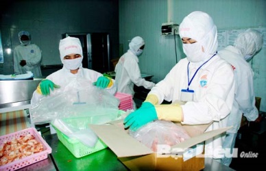 Bac Lieu: over 103,500 MT of seafood produced