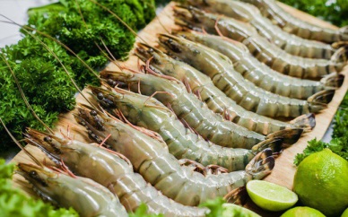 Vietnam shrimp exports after signing EVFTA: Advantages and challenges