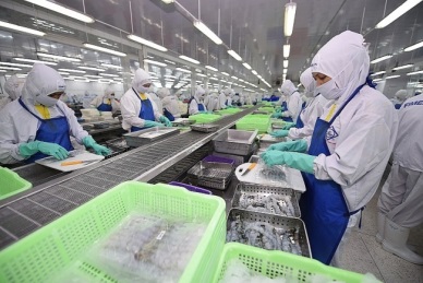 Vietnam’s shrimp sector emerges from COVID ‘the winner’