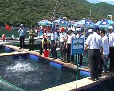  Khanh Hoa: aquaculture output surpasses 17,117 MT