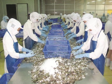 QI/2017: Vietnam’s whiteleg shrimp exports inched up 10.6%