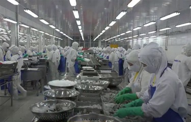 Fimex’s May production, sales value soar from April