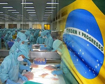Vietnam-Brazil trade volume, exports set new record
