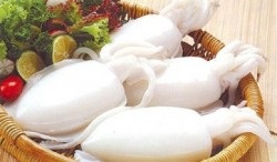 Vietnam cephalopod exports to Japan downed 8.3%