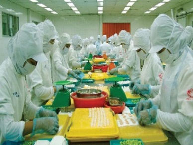 List of Vietnamese prestigious seafood exporters in 2015 announced