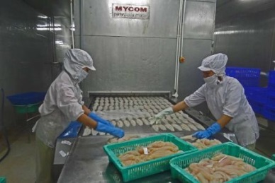 Fishy tales: An insight into how the Vietnamese industry compares to Australia