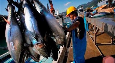 Capture output increases by over 4%