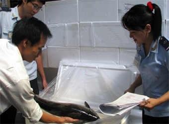 Circular 32/2012/TT-BNNPTNT: Promulgating the list of objects of aquatic product quarantine; the list of aquatic products subject to quarantine