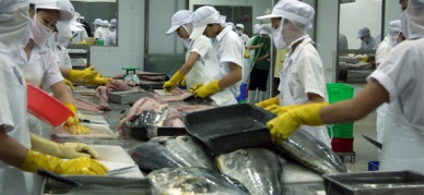 Vietnam tuna shipment targets to up 8% in 2017