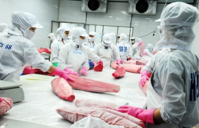 Tuna exports likely to reach 1 billion USD this year