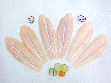 Agifish produced 8,000 MT of raw pangasius in Q.IV/2012