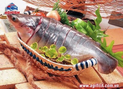 Agifish linked closely with fish suppliers 