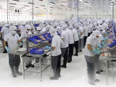 Vietnam seafood export to recover in Q.III/2012