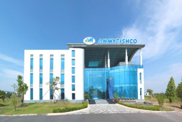 Anmyfishco to consolidate its position in the market 