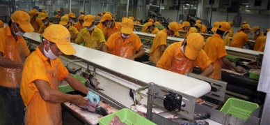 Anvifish Co to introduce pangasius product into Ukraine