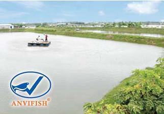 Anvifish to develop fish farming area