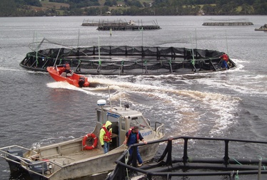 Food Crisis: The Development of Modern Aquaculture in Australia is an Imperative