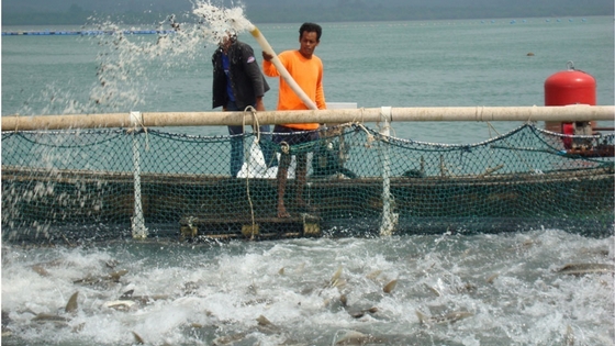 Thailand reports first export growth since 2011